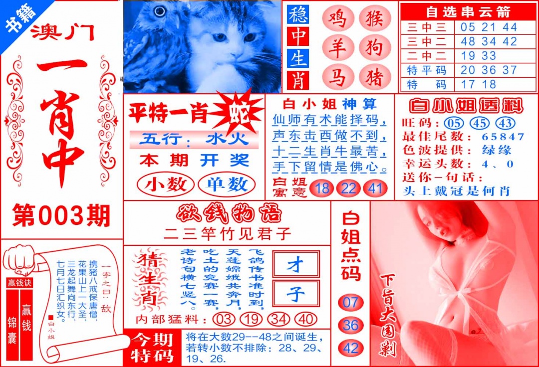 003期澳门锦囊宝典[图]