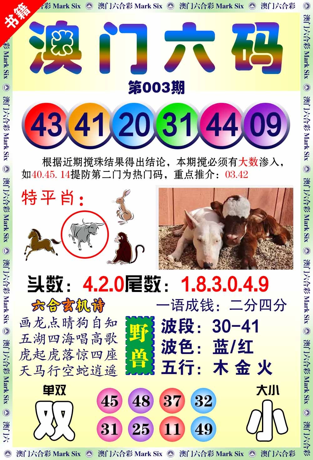 003期澳门望子成龙[图]