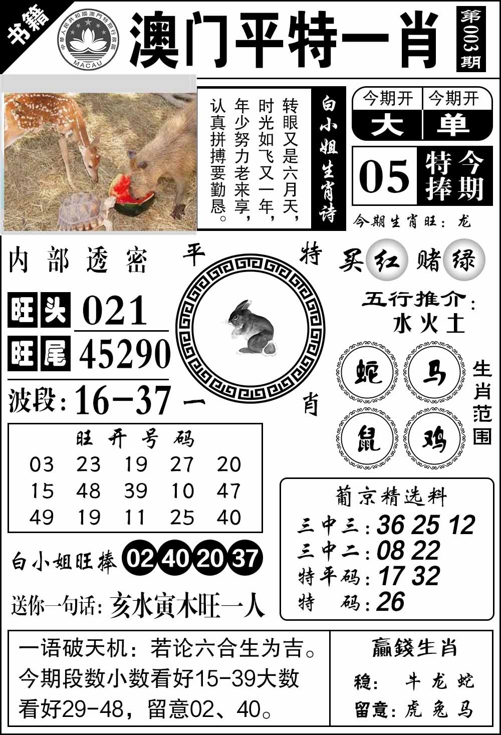 003期澳门内部透密[图]