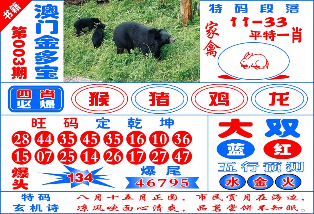 003期澳门金元宝[图]