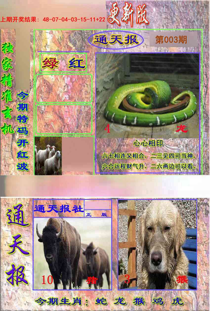 003期新通报[图]