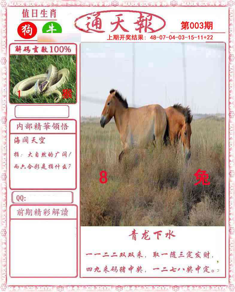 003期正版通天报[图]