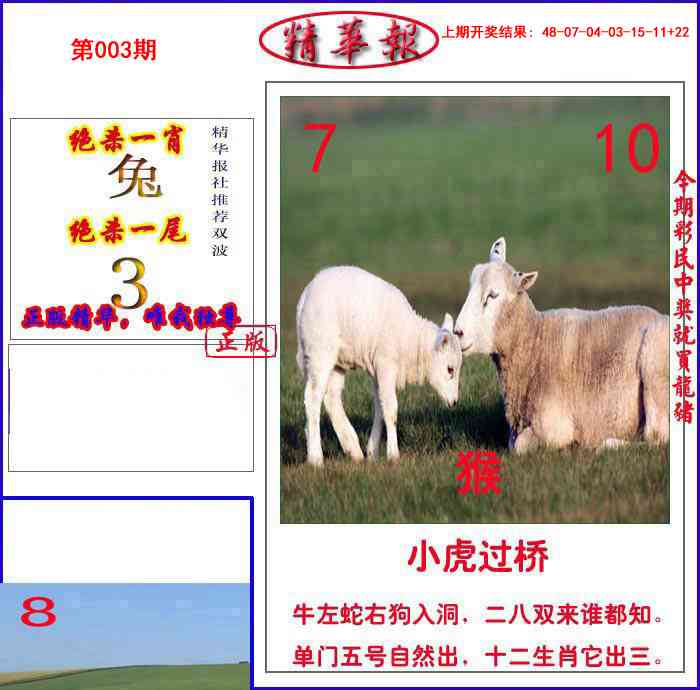 003期新精华报报[图]