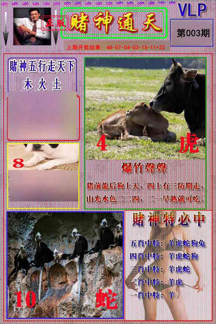 003期赌神通天报[图]