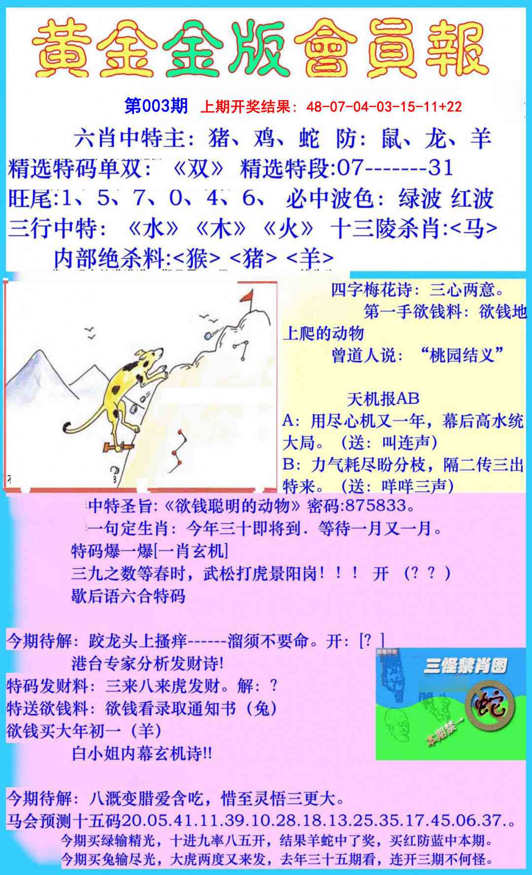 003期黄金金版会员报[图]