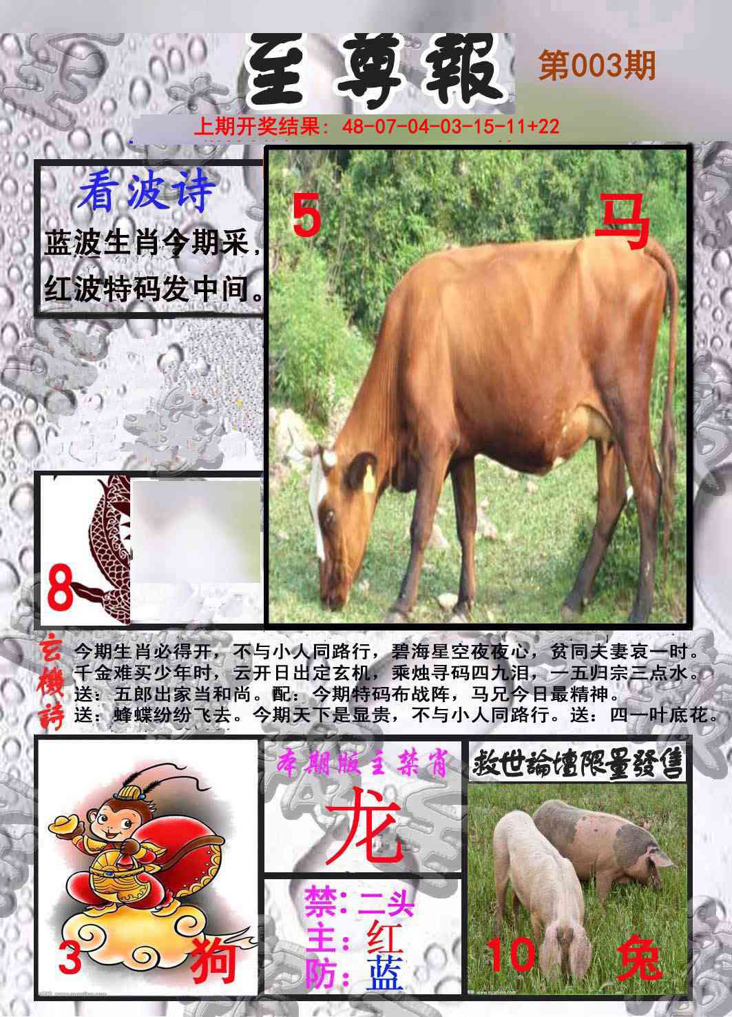 003期至尊报[图]