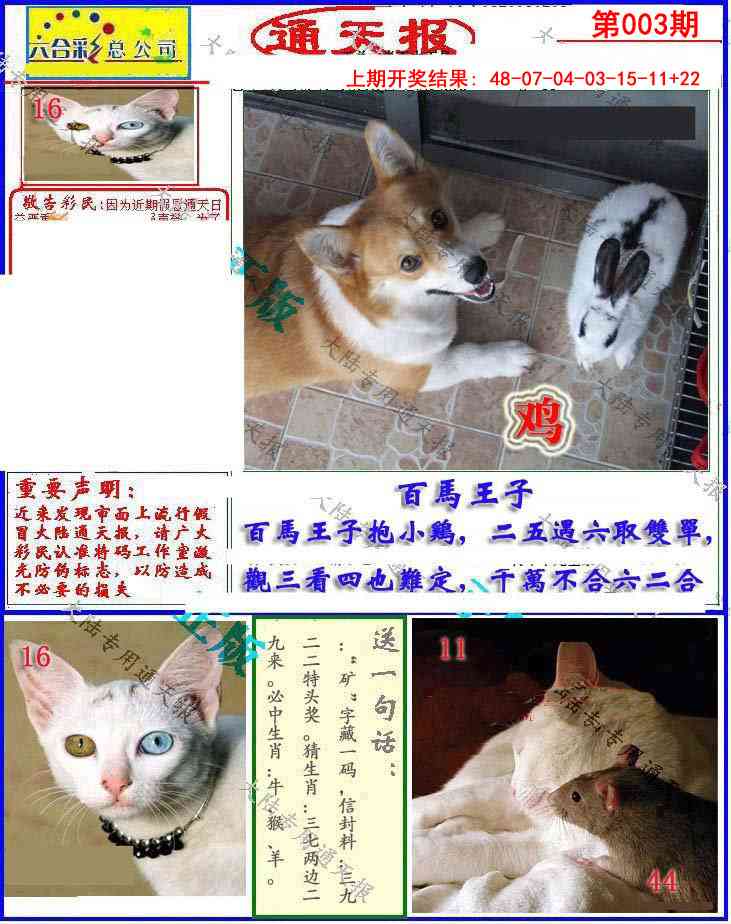 003期大陆通天报[图]