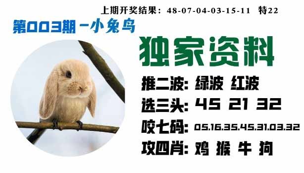 003期小兔鸟[图]